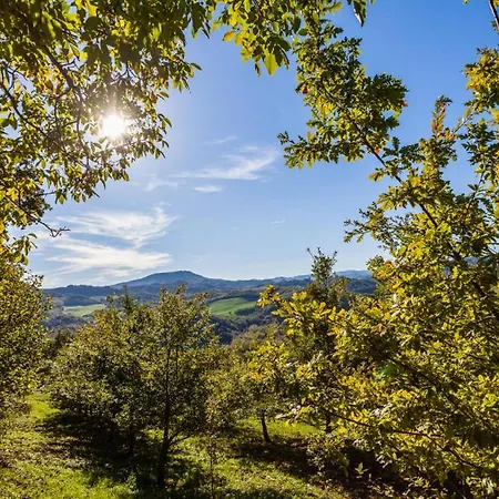 Appartamento Sleeps 2 Pool Wifi T762444 Piobbico